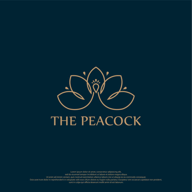 ilustrações, clipart, desenhos animados e ícones de ilustração do ícone da linha peacock bird com estilo luxuoso, design de estilo plano isolado em fundo escuro - pavão