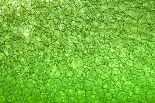 istock Beer with bubbles and foam in a green bottle,Abstract, Backgrounds, Bar - Drink Establishment, Beer - Alcohol 1211606859