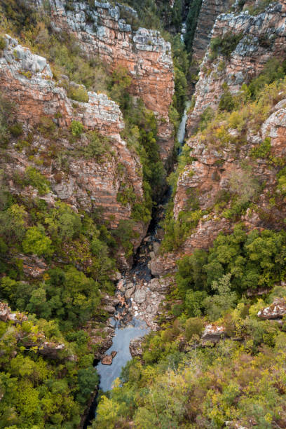 istock Storms River Gorge, the Garden Route, South Africa 1211615341