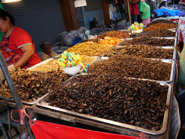 selling deep-Fried insects Bangkok, Thailand-November 10, 2019: Food vendor selling deep-Fried insects to the passerby in the market. People walk around the area. Some buy the food. fried insects for snack thai food at market stock pictures, royalty-free photos & images