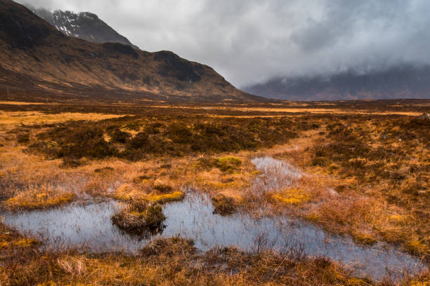 Photo of Marshes in the valley near Buachaille Etive Mor Mountain on a moody day, Glencoe, Scotland