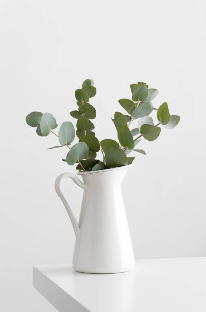 istock Eucalyptus branches in a vase on a white table. 1211616360