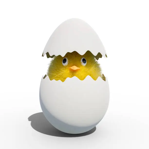Cute little chicken coming out of a white cracked egg. Fluffy Animal. 3D-Rendering, 3D-Illustration