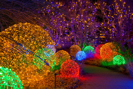 Denver, Colorado, USA - December 9, 2019: A night view of a winding path lit by colorful lights at Denver Botanic Gardens during its holiday Blossoms of Light event.