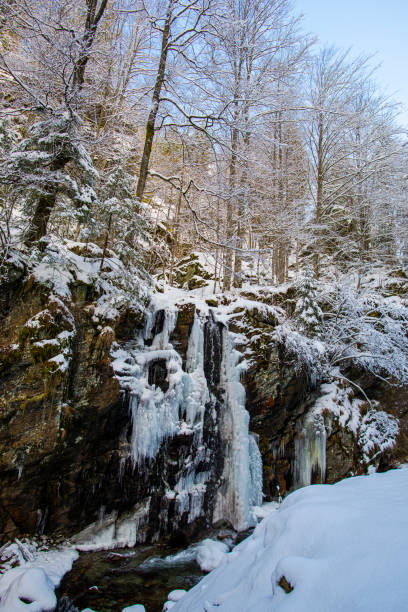 istock Winter wonderland 1211618508
