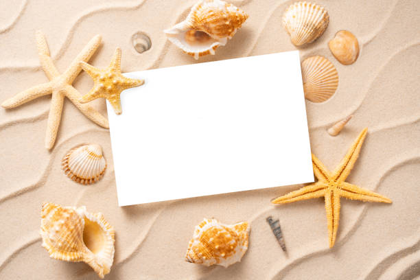 istock Minimal Frame summer background, Sand shells Seastar vacation and travel concept, Flat lay top view copy space 1211620630