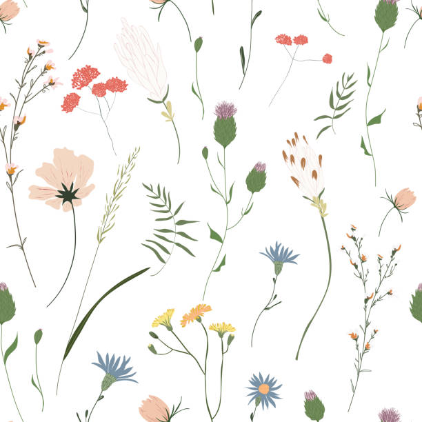 Nature Decoration Vector Art Graphics Freevector Com