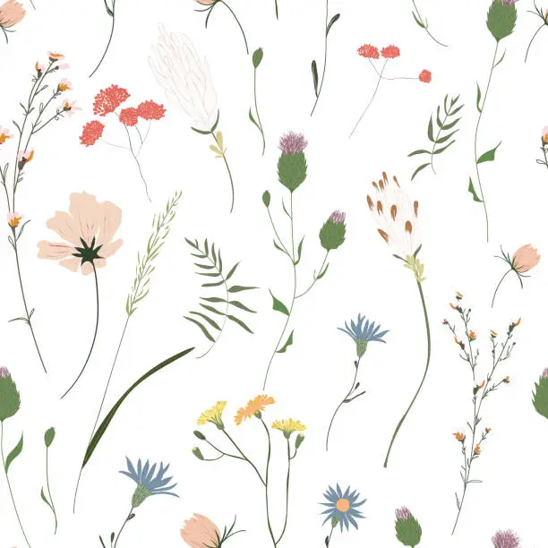 Vector illustration of Floral seamless pattern. Trendy blossom colorful vector texture. Blooming botanical motifs scattered random. Fashion, ditsy print. Hand drawn different color wild meadow flowers on white background