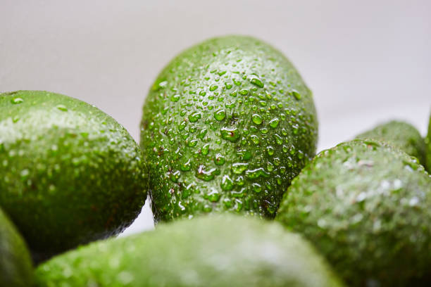 Fresh tropical avocado fruit with water drops close up (Macro shot)