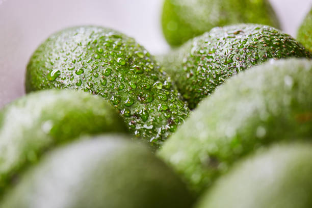 Fresh tropical avocado fruit with water drops close up (Macro shot)