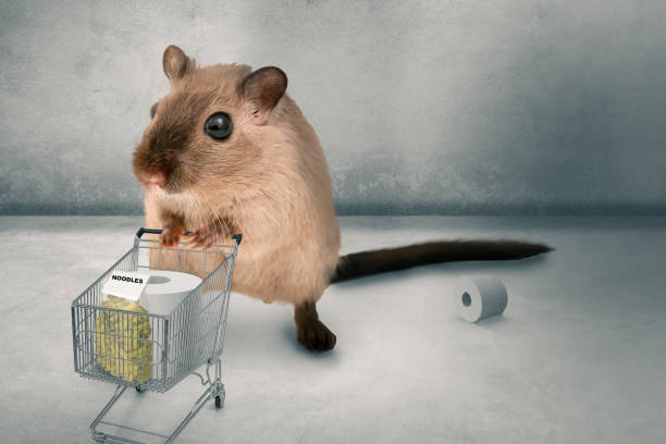 hamster buying in panic the supermarket empty - 3D-Illustration hamster buys pasta and toilet paper in panic 3D-Illustration stock photo