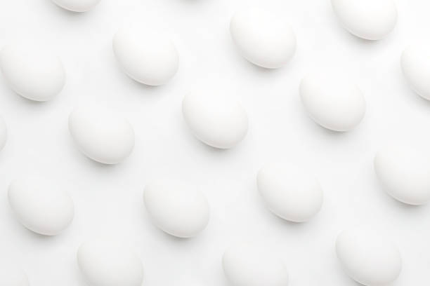Flat lay of eggs on white background
