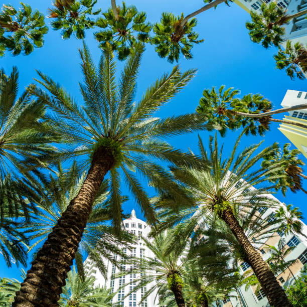 istock Miami Beach Art Deco 1211632560