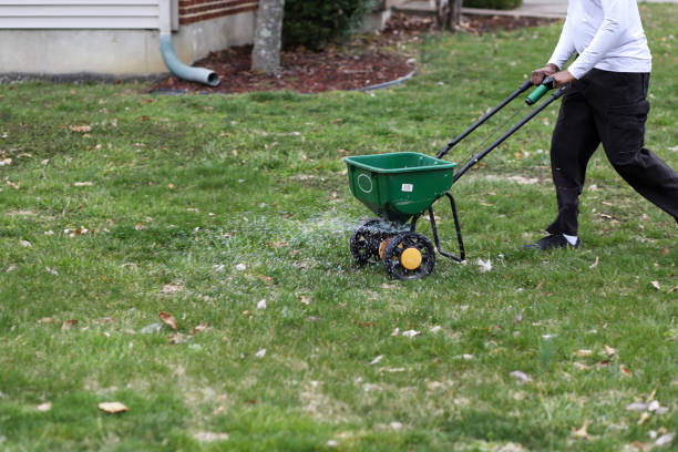 A African-American man using a seed and fertilizer spreader on a front lawn
