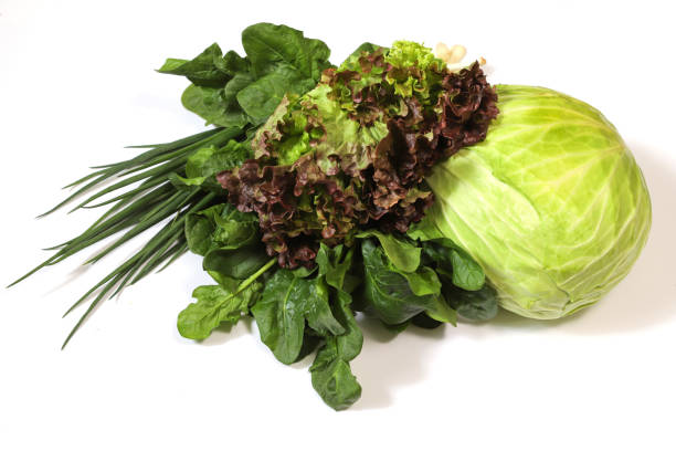 Pictured various kind of vegetable in a white background.