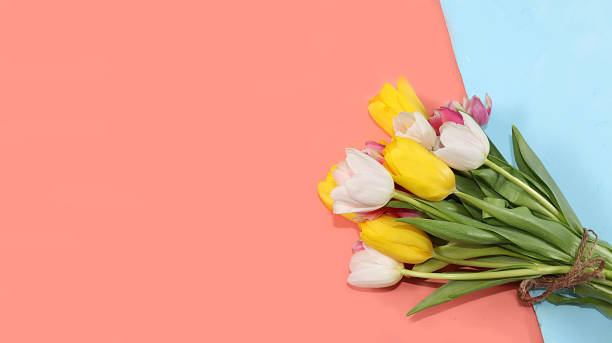 istock Creative layout with tulips on a colorful background, minimal holiday and spring concept, geometry. Greeting card, spring banner for the screen, happy birthday, wedding, place for text, flat lay 1211638429