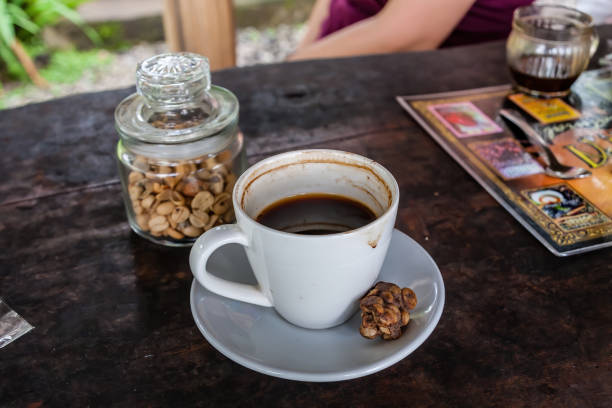 The world famous brewed luwak coffee and original coffee beans excreted by the civet stock photo
