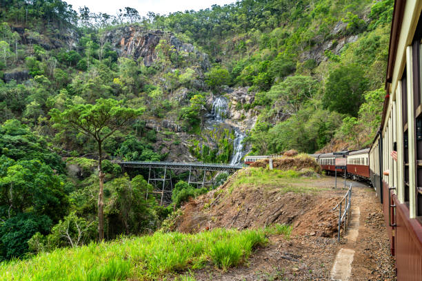 stoney creek bei kuranda scenic railway , cairns, australien - tropical rainforest waterfall rainforest australia stock-fotos und bilder