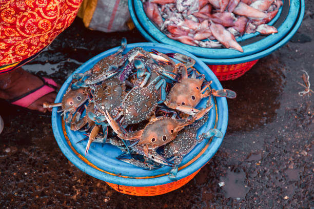 istock Fish market in Mumbai 1211642776