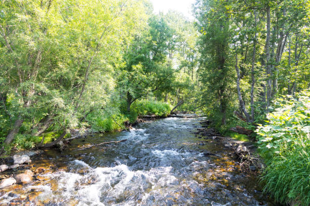 istock Mountain Stream, Kamchatka Peninsula, Russia. 1211642859