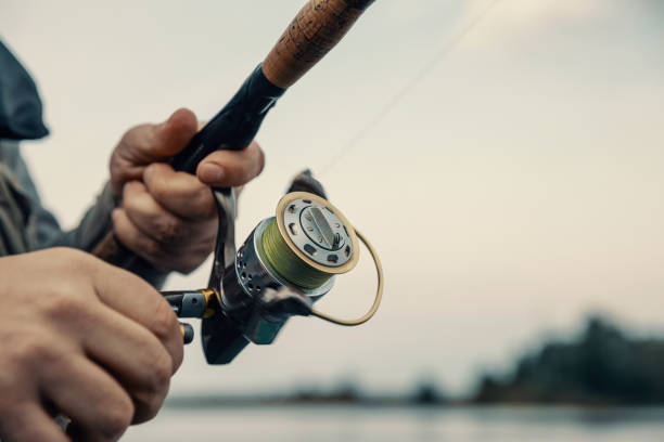 vara de pesca com um rolo giratório nas mãos de um pescador. fundo de pesca. - fishing rod fishing fishing reel casting - fotografias e filmes do acervo