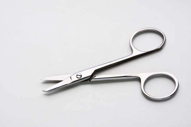 istock The silvery scissors isolated on white background 1211644211