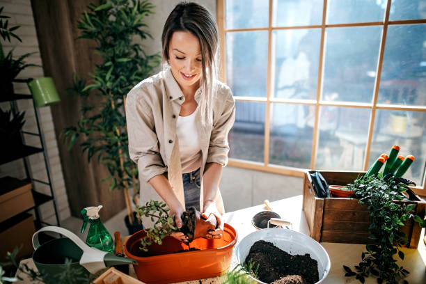 istock Women planting flower 1211644394