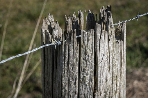 Single strand of barbed wire crossing a rotting fence post