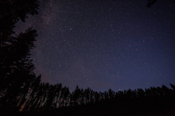 istock one million stars at night. long exposure. Milky way 1211647209