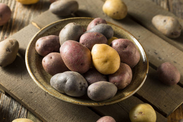 istock Raw Organic Rainbow Baby Potatoes 1211651083