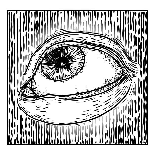 ilustrações de stock, clip art, desenhos animados e ícones de all seeing eye symbol element variation. alchemy, religion, spirituality and occultism tattoo ink art. vision of providence and conspiracy theory. hand drawing in flash tattoo style artwork. vector. - close up of iris
