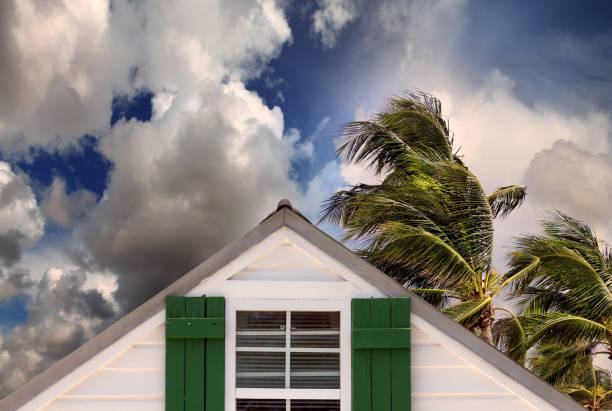 close up rooftop of a wooden house in tropical storm close up rooftop of a wooden house over stormy clouds sky and waving palm tree leaves tropical storm photos stock pictures, royalty-free photos & images