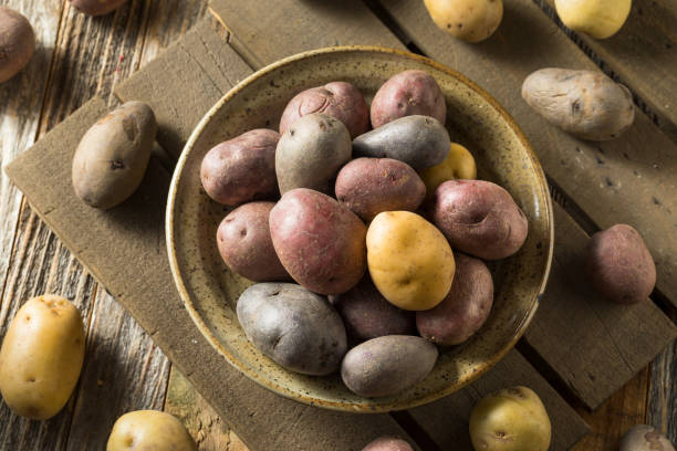 istock Raw Organic Rainbow Baby Potatoes 1211651470