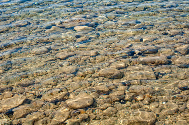 istock Sea urchin in clear water, Halkidiki, Greece. 1211652094