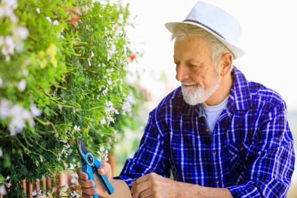 istock Cutting a flowers for my wife 1211654659