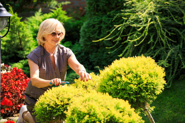 felice nonna giardinaggio in una giornata di sole - virata di bordo foto e immagini stock