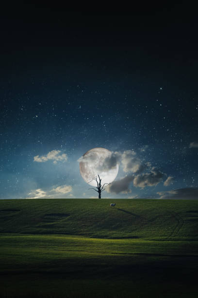 Photo-manipulation moon and landscape with tree and sheep in United Kingdom