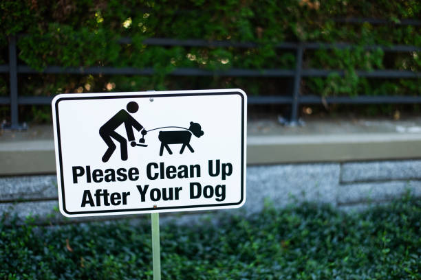 Please Clean Up After Your Dog sign on the side of road