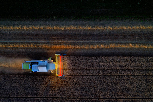 istock Illuminated Combine Harvester Working in Field at Night 1211659454