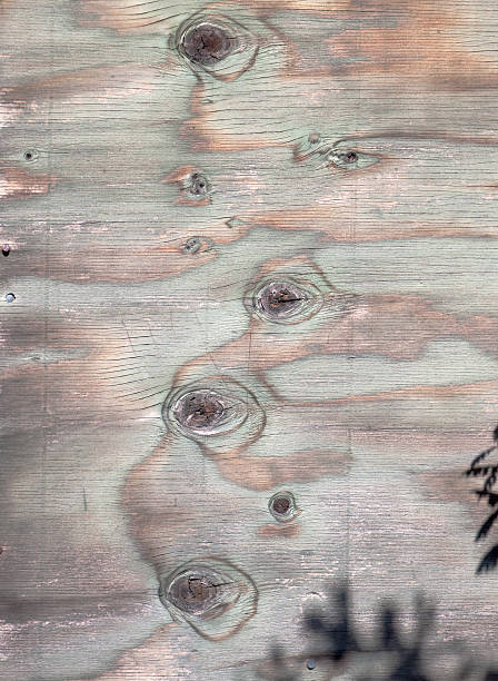 istock Plywood Edged with Knot Holes Background Texture 121166198