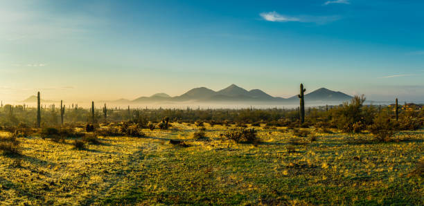 Panorama of a rare morning fog in the Phoenix Sonoran Desert Preserve stock photo