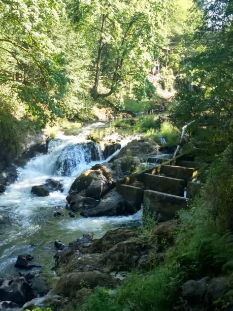 istock Brewery Park at Tumwater Falls 1211668248