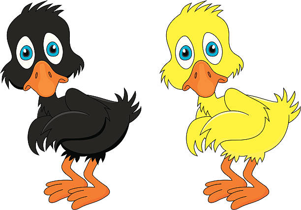 Ilustración de Patito Joven Bebé Vector De Dibujos Animados De Pato y más Vectores Libres de Derechos de Patito Feo - iStock Ilustración de Patito Joven Bebé Vector De Dibujos Animados De Pato y más Vectores Libres de Derechos de Patito Feo - iStock