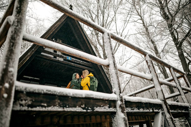 istock Funny day in snowy forest 1211670541