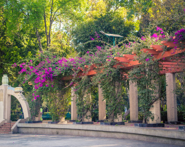 istock garden trellis in a park 1211670559