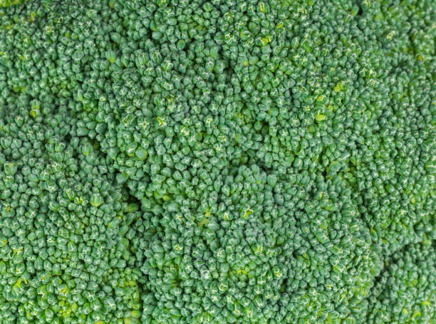 Broccoli Flower bud close-up