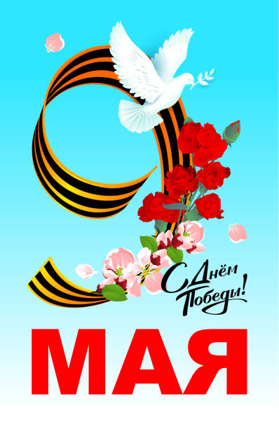 9 мая в россии день победы поздравительная открытка в день памяти. белый голубь, красные цветы гвоздики и символ мира георгиевской ленты - 9 may stock illustrations
