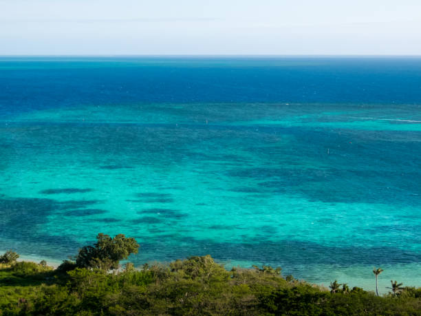 istock Fiji island panorama 1211687360