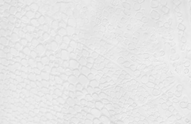 istock Abstract surface wallpaper of white concrete texture for soft background. 1211690015