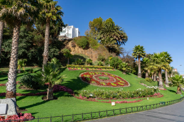 istock Flowers clock at Vina del Mar 1211690802